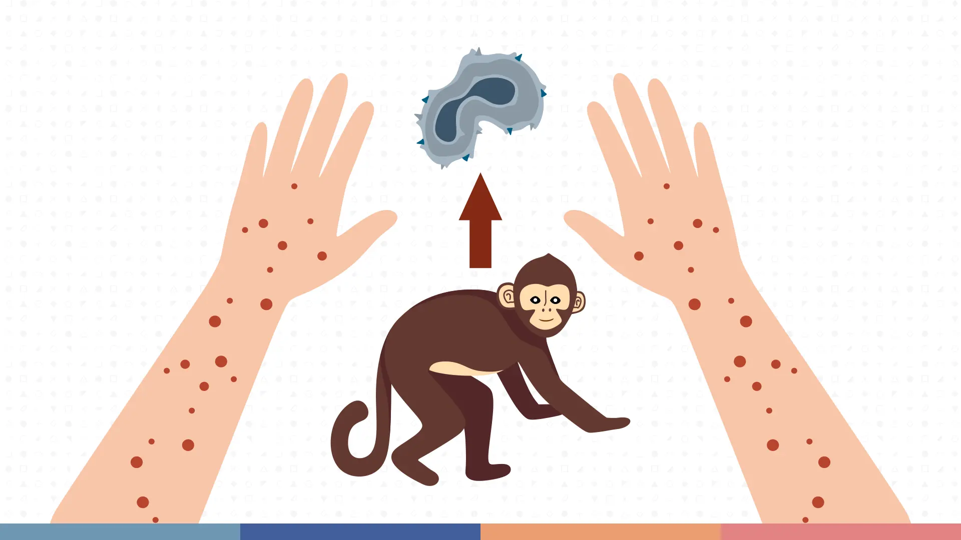 The urgency of the global monkeypox outbreak has seized the attention of health officials and the public. 