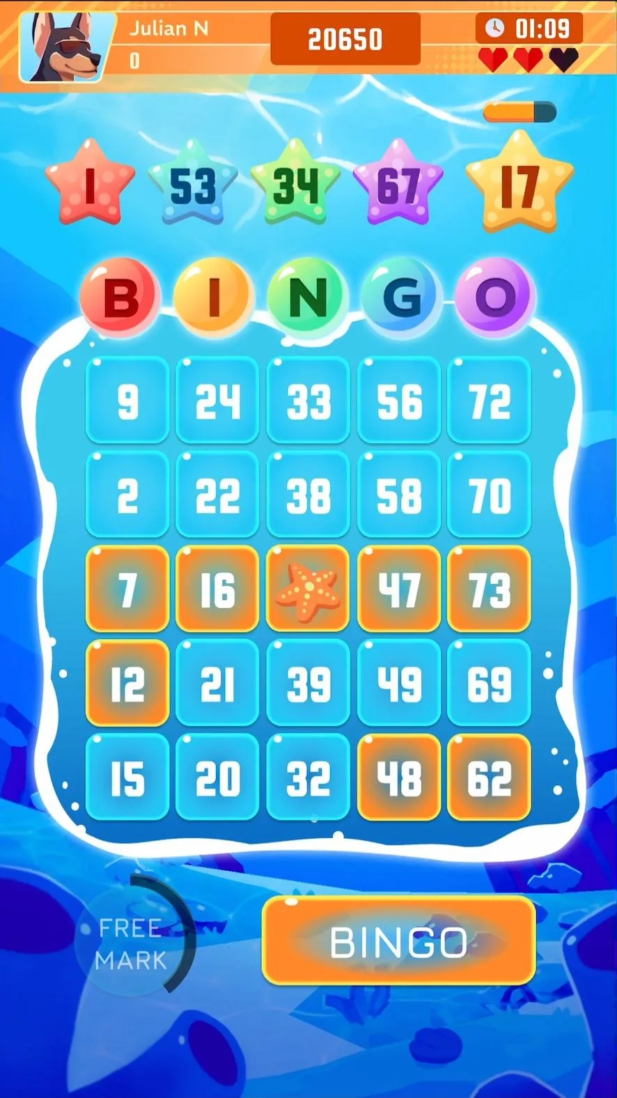 akedo-bingo5